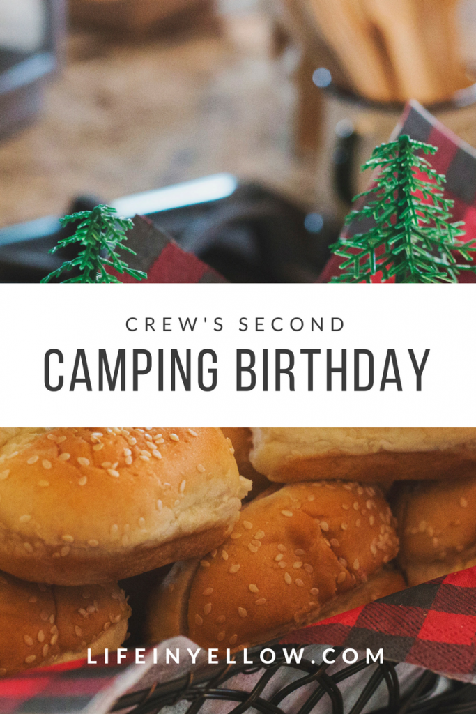 Crew's Second Camping Birthday